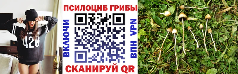 Псилоцибиновые грибы Magic Shrooms Электросталь