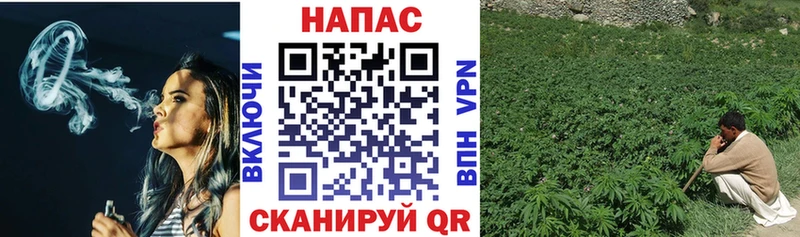Шишки марихуана VHQ  где можно купить наркотик  Электросталь 